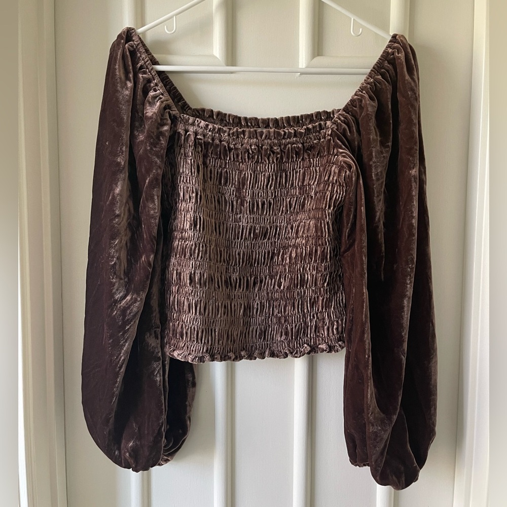 Anthropologie Brown Velvet Smocked Puffed Sleeve Top